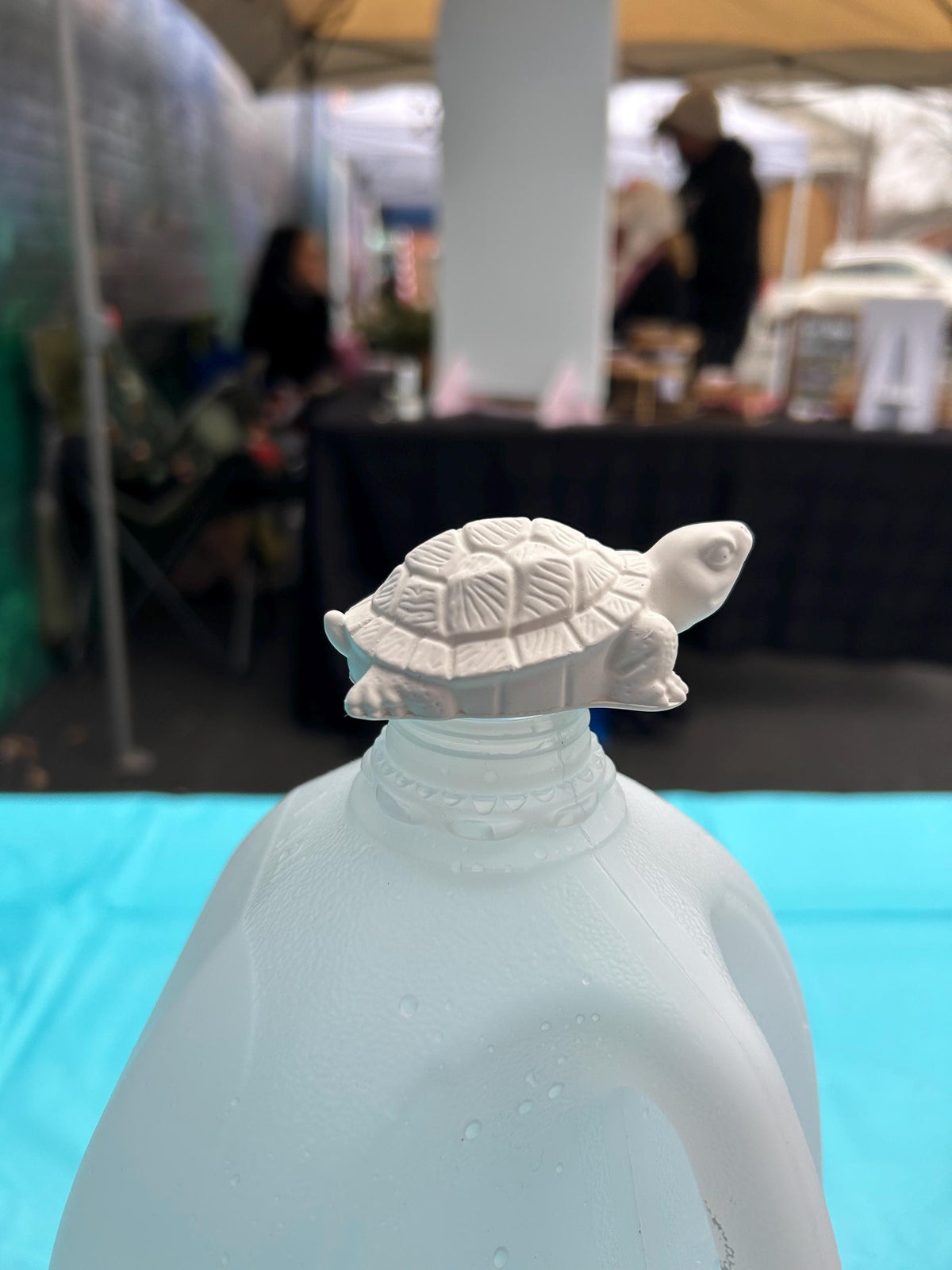 Small turtle