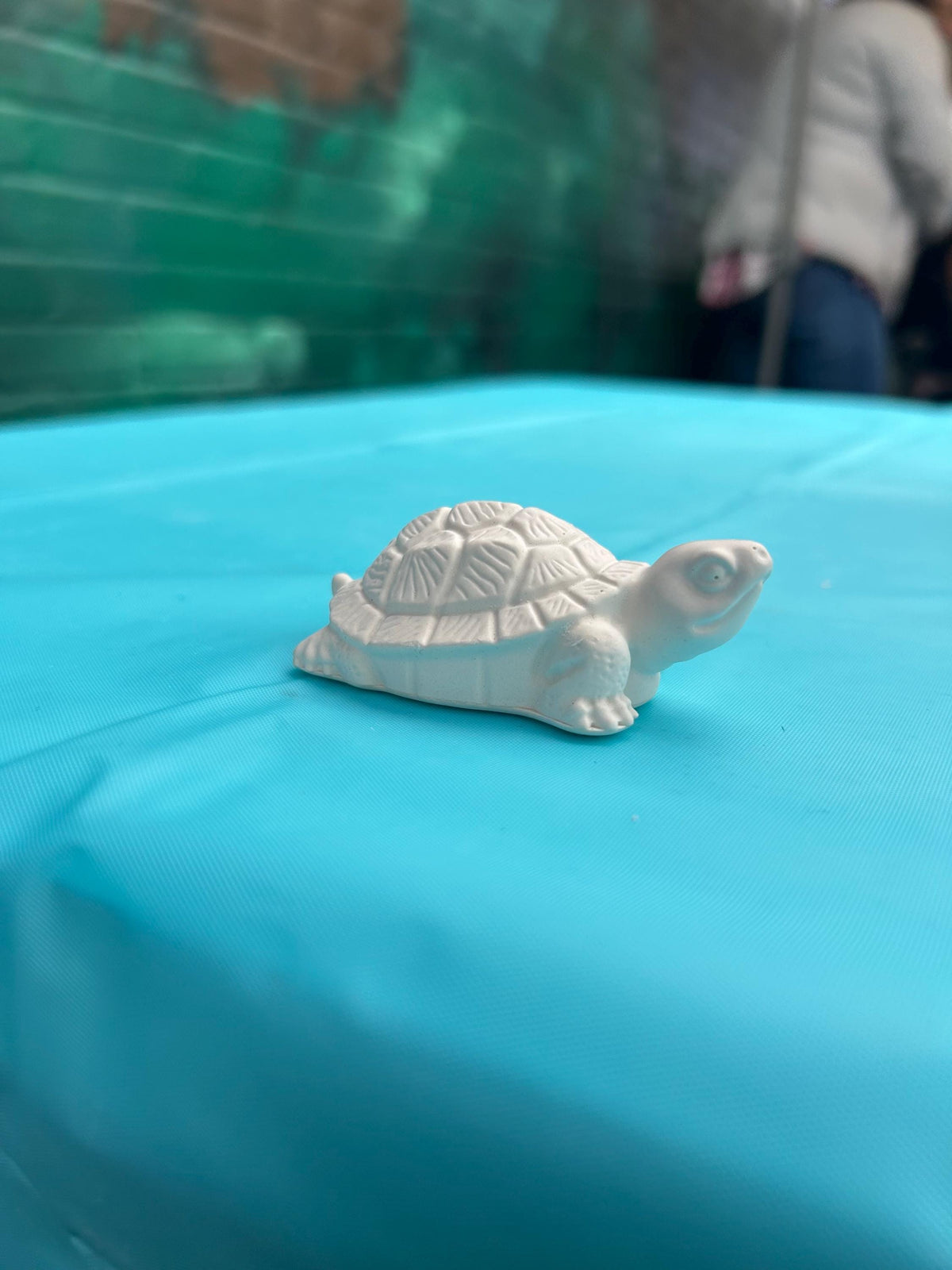 Small turtle