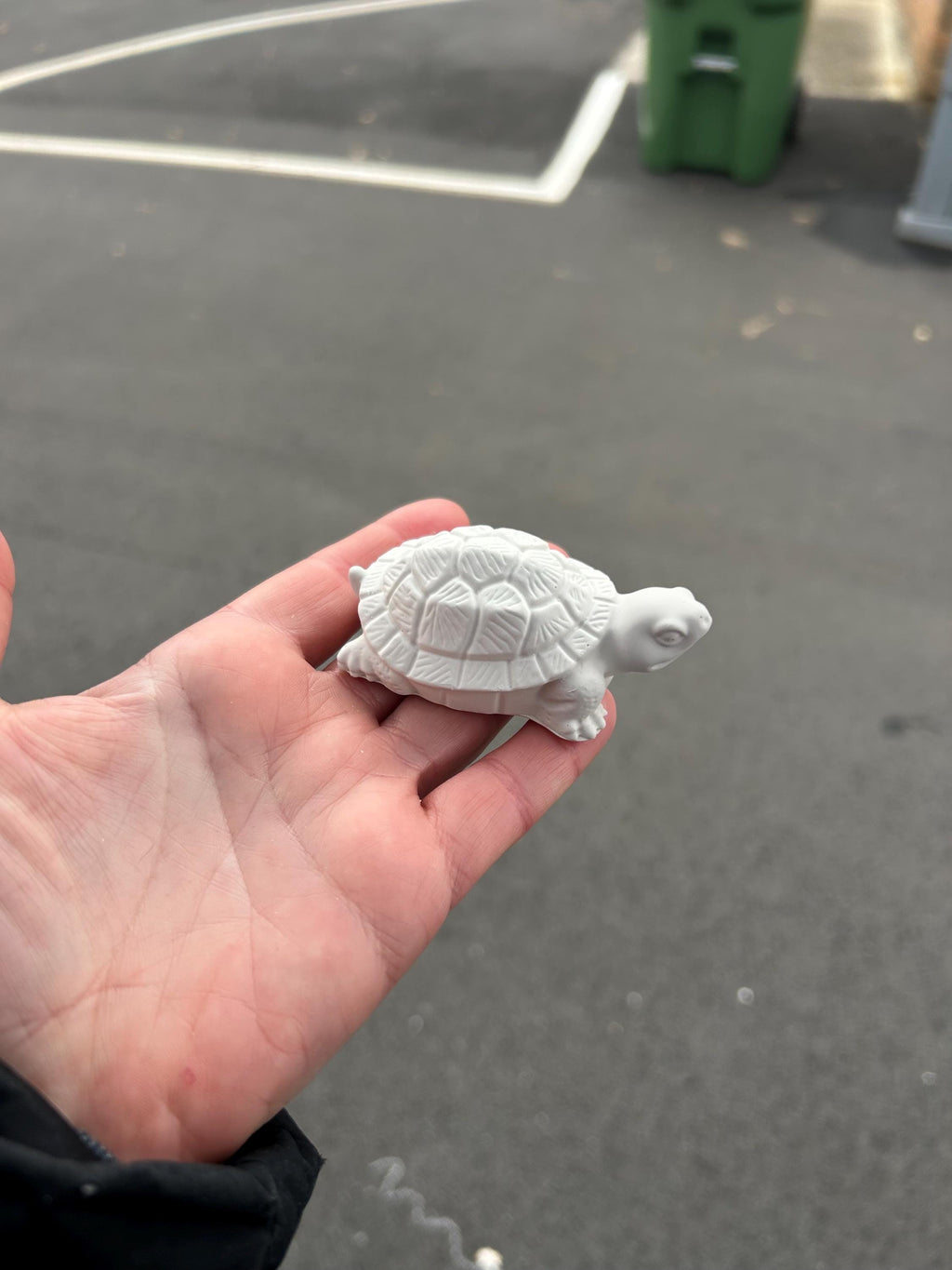 Small turtle