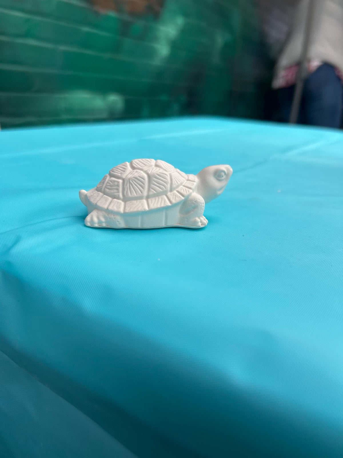 Small turtle